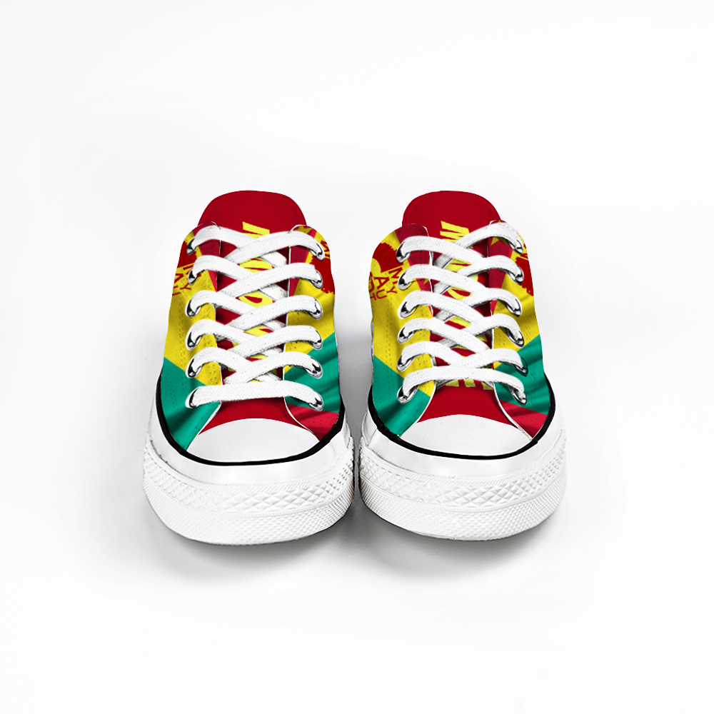 Custom Shoes Unisex Low Top Canvas Shoes